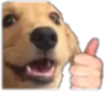 Doggy_like emote for Discord