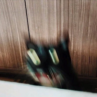 blurcat emote for Discord