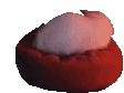 cat_tail emote for Discord
