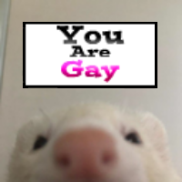rat_youaregay emote for Discord