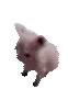 BingusDance emote for Discord