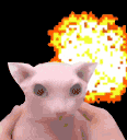 Bangus emote for Discord