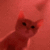 kittyVibe emote for Discord