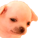 SadgeDoge emote for Discord