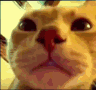 Vibing emote for Discord