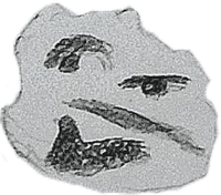 Thonk_Sketch emote for Discord