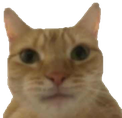 catISeeYou emote for Discord