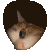 KittyPeak emote for Discord