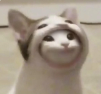 pop_cat_inside_the_pop_cat emote for Discord