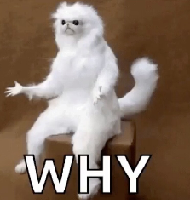 Why emote for Discord