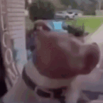 wow emote for Discord