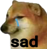 sad_doge emote for Discord