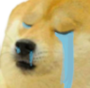 dogecry emote for Discord
