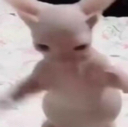 lmao emote for Discord