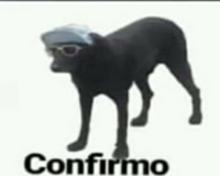 confirmo_perro emote for Discord