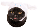 Sanrio_cat emote for Discord