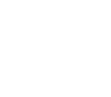 Developer emote for Discord