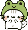 froggy_kitty emote for Discord