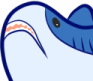BLAHAJ emote for Discord
