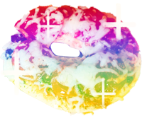 GayPizzaBagel emote for Discord