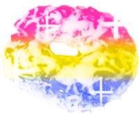 PansexualPrideBagel emote for Discord