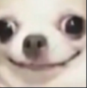 cursed_dog emote for Discord