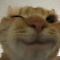 Cat_wink emote for Discord