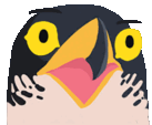 omg emote for Discord