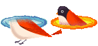 portal_bird emote for Discord
