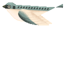 msfs_bird emote for Discord