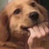 dog_fingerbite emote for Discord