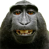 monkey_smile emote for Discord