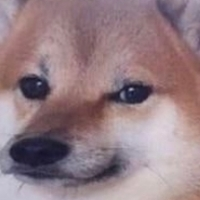 Wholesome_doge emote for Discord