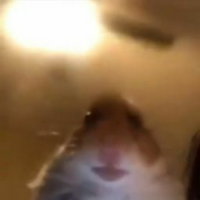 Trecker emote for Discord