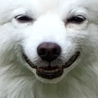 Creepy_dog_face emote for Discord