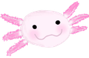 Axolotl emote for Discord