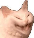 catLaughing emote for Discord