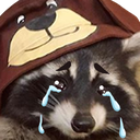 raccoon_cry emote for Discord