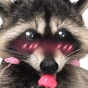 raccoon emote for Discord