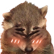 raccoon_blush emote for Discord