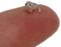 elwiwi emote for Discord