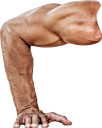 PushUp1 emote for Discord