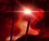 Ferret_Scree emote for Discord