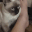 rainenomnom emote for Discord