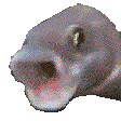 smile4me emote for Discord