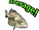 Average emote for Discord