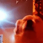 dogjamdisco emote for Discord