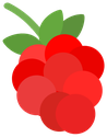 raspberry emote for Discord