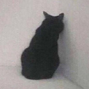 sulking static emote