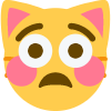 flushedcatbutsad emote for Discord